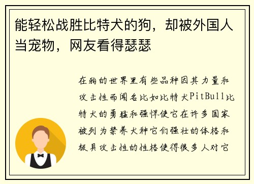 能轻松战胜比特犬的狗，却被外国人当宠物，网友看得瑟瑟