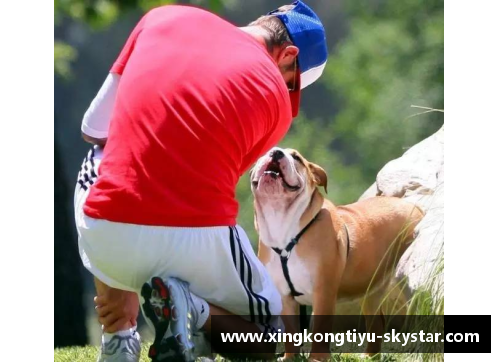 星空体育官方网站能轻松战胜比特犬的“狗”，却被外国人当宠物，网友看得瑟瑟发抖